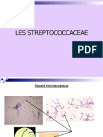 Les Streptococcaceae