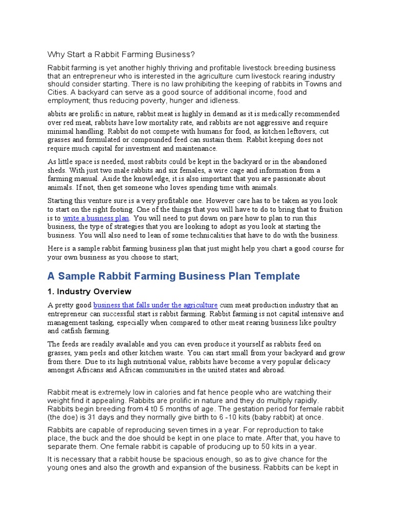Why Start A Rabbit Farming Business PDF Agriculture Sales
