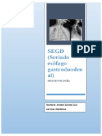 SEGD: Diagnóstico por imágenes del tracto digestivo alto