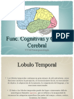 Funciones cognitivas de las circunvoluciones temporales y la corteza cerebral