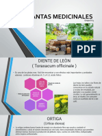 PLANTAS MEDICINALES