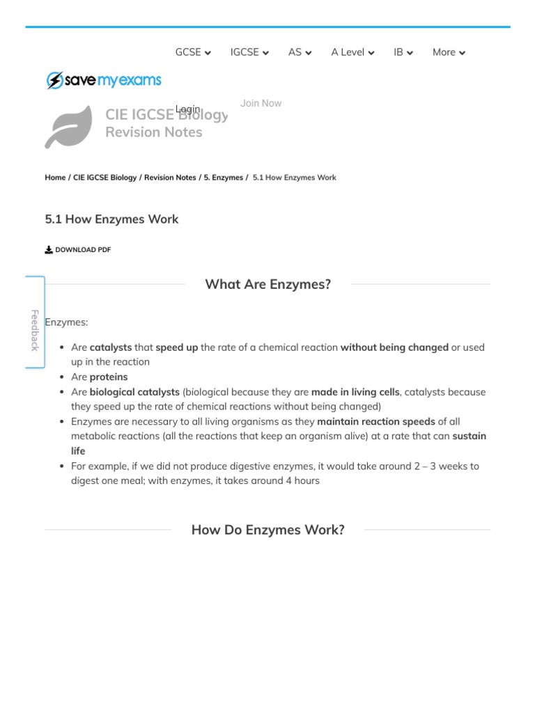 IGCSE Biology: Enzymes Overview | PDF | Active Site | Enzyme