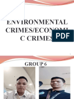 Environmental Crimes/Economi C Crimes