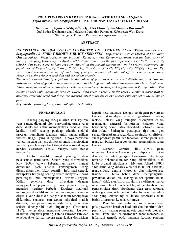 4247 10791 1 SM | PDF