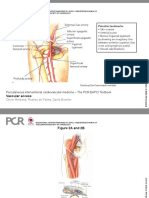Percutaneous Interventional Cardiovascular Medicine - The PCR-EAPCI Textbook