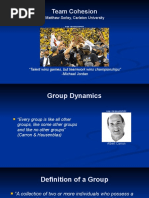 Carron's Model of Team Cohesion Factors | PDF | Leadership | Group ...