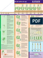 Poster - CyD SOJA - KSU