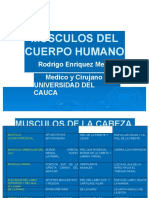 Musculosdelcuerpohumano