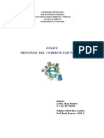 Ensayo Principios Que Rigen El Derecho Del Comercio Electrónico