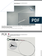 PCR Textbook Chapter 1.09 Sechtem