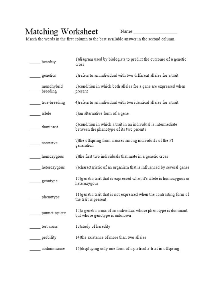 matching-worksheet-pdf-dominance-genetics-allele