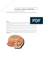 Sistema Nervoso Central-I