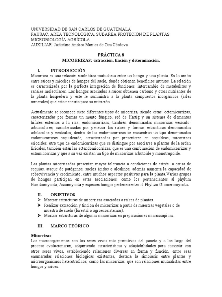 Micorrizas | PDF | Hongo | Organismos