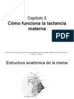 2 Cómo funciona la lactancia materna Diapositivos