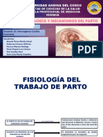 FISIOLOGIA Y MECANISMOS DE PARTO