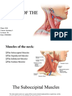 Muscles of The Neck