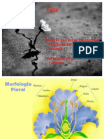 Aula Flor