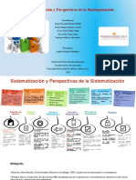 Sistematización y Perspectivas de La Sistematización