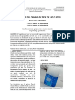 Evaluacion Del Cambio de Fase de Hielo Seco