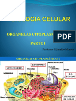 ORGANELAS I