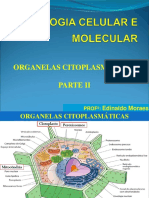 ORGANELAS II