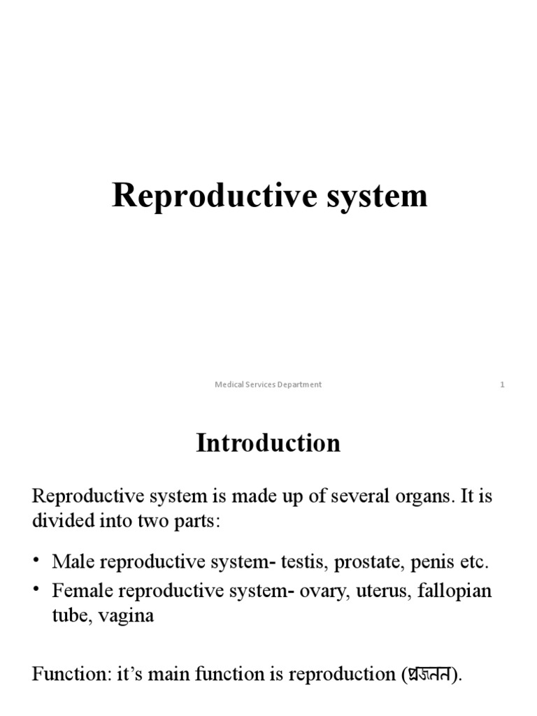 Overview of Male and Female Reproductive Systems | PDF | Menstrual ...