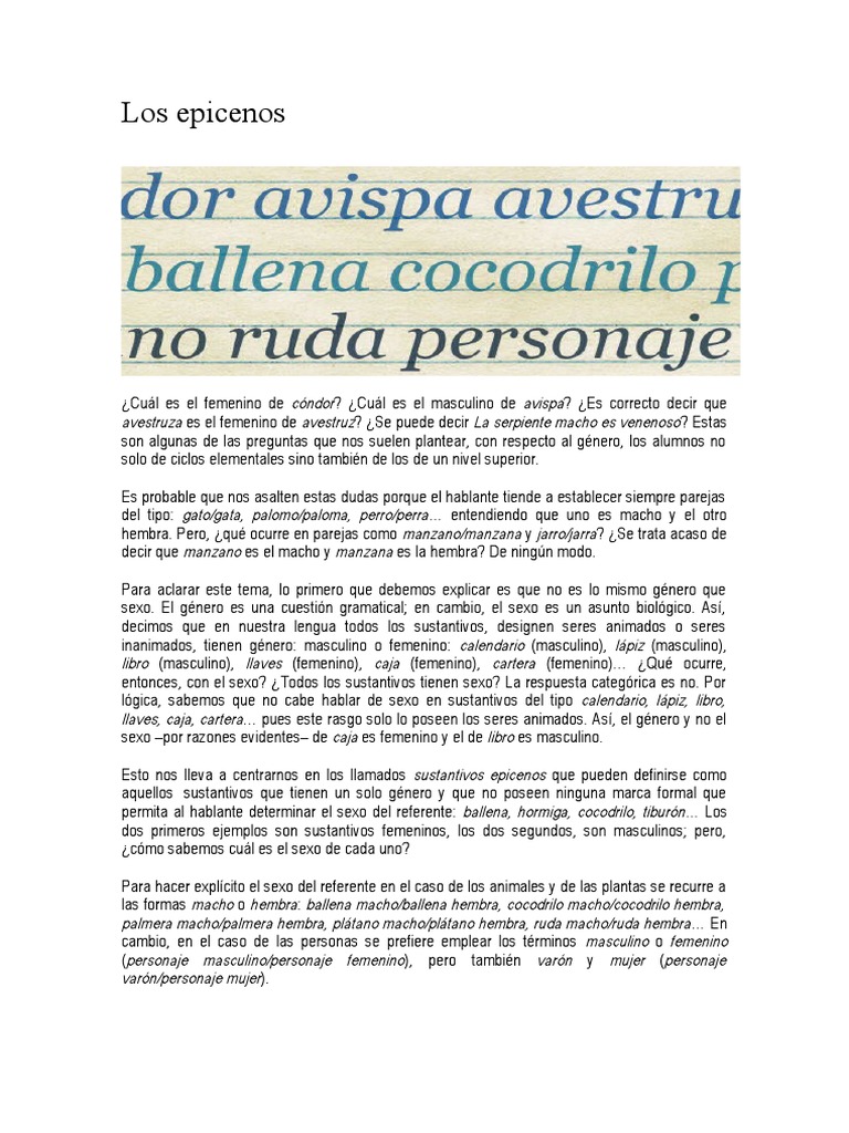 Sustantivos Epicenos: Definición y Ejemplos | PDF | Género gramatical ...