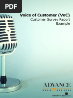 Voice of Customer VoC Report Example