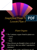 Simplified Plant Tissues Lesson Plan 4
