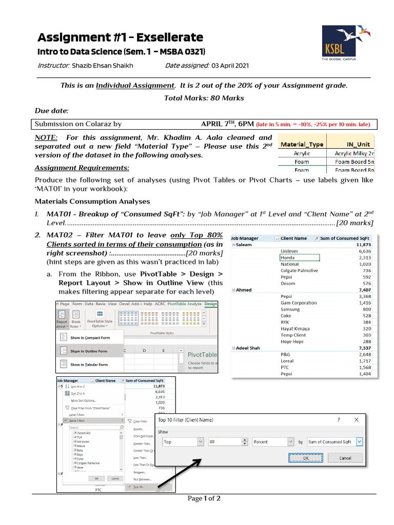 Data Analyst Assignment Overview | PDF | Information Technology ...