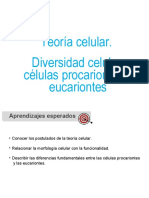 Teoría Celular. Diversividad Celular Células Procariontes y Eucariontes