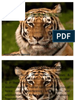 Valmiki Tiger Reserves