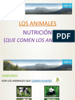 7 Power Point - El Reino Animal