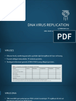 Virologi - DNA Virus Replication