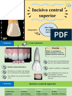 Expo Endo Incisivos