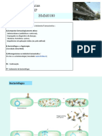 4.4. Micro Farmacia - Fagoterapia