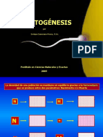 Clase Gametogénesis_I (2)