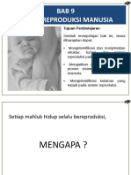 SISTEM REPRODUKSI MANUSIA