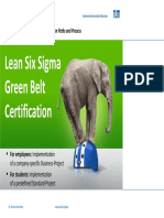 Lean Six Sigma Green Belt Certification Paths