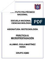 Práctica 6 Micropropagación