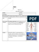 Hoja de Trabajo 4,5,6. Biologia