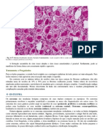 Patologia Oral e Maxilofacial Neville 4ª Ed ESTE ES EL QUE USO - 0065