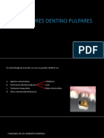 Clase Protectores Dentino Pulpares