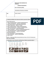 Lembar Mahasiswa (Mikrobiologi Flora Normal) Muhammad Risqullah Ammar