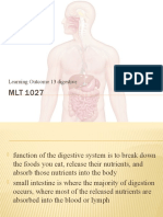Digestive System Functions and Components