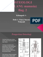 Osteologi (Tulang)