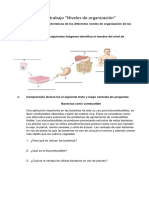 Guía-Ciencias-N5-5B-Niveles-de-organización