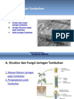 KD 3.3 Jaringan Tumbuhan