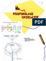 Biokimia Siklus Kreb Dan Fosforilasi Oksidatif Dr. Retno Sintowati