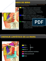 Niveles Axilares de Berg